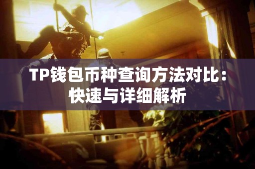 TP钱包币种查询方法对比：快速与详细解析