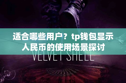 适合哪些用户？tp钱包显示人民币的使用场景探讨