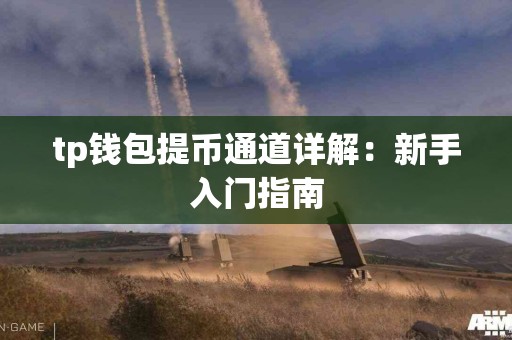 tp钱包提币通道详解：新手入门指南