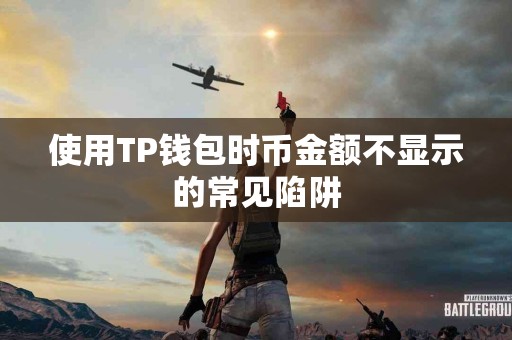 使用TP钱包时币金额不显示的常见陷阱