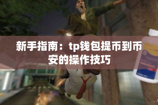 新手指南：tp钱包提币到币安的操作技巧