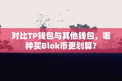对比TP钱包与其他钱包，哪种买Blok币更划算？