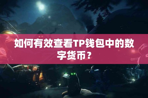 如何有效查看TP钱包中的数字货币？