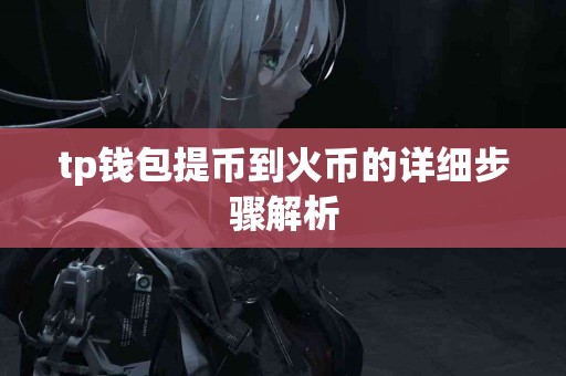 tp钱包提币到火币的详细步骤解析