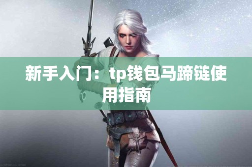 新手入门：tp钱包马蹄链使用指南