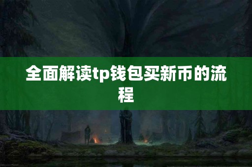 全面解读tp钱包买新币的流程