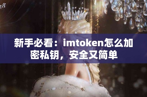 新手必看：imtoken怎么加密私钥，安全又简单