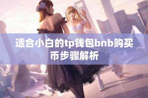 适合小白的tp钱包bnb购买币步骤解析