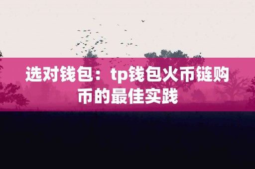 选对钱包：tp钱包火币链购币的最佳实践